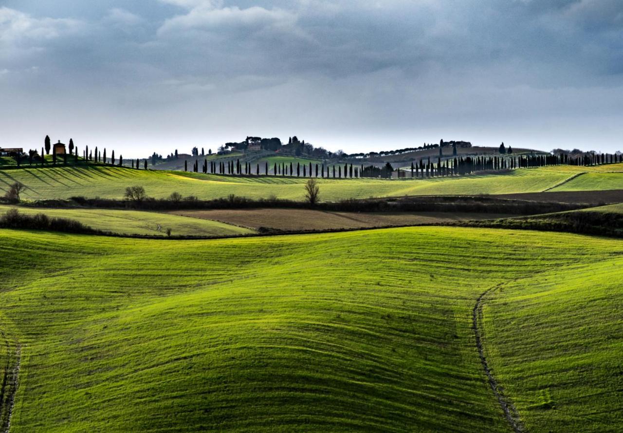 Podere Fossaccio Casa Pino Asciano Kültér fotó