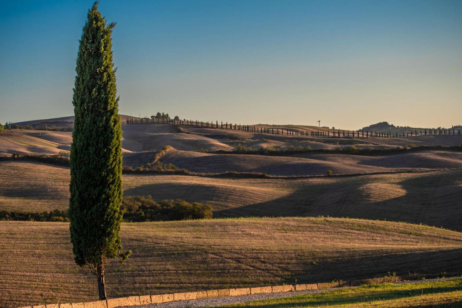Podere Fossaccio Casa Pino Asciano Kültér fotó